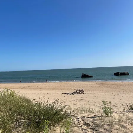 Chant Des Oiseaux *** * Руайян