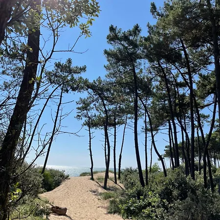 Chant Des Oiseaux *** Руайян