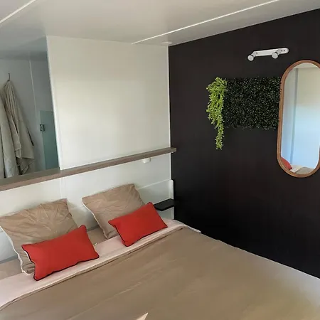 Chant Des Oiseaux *** Кемпинг *