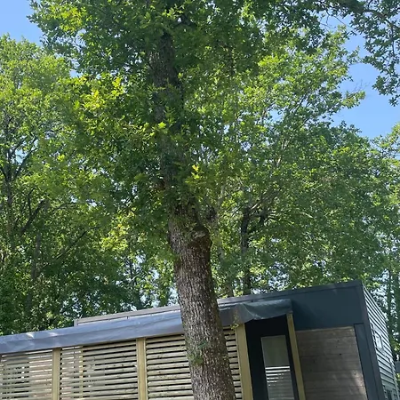 Кемпинг Chant Des Oiseaux ***