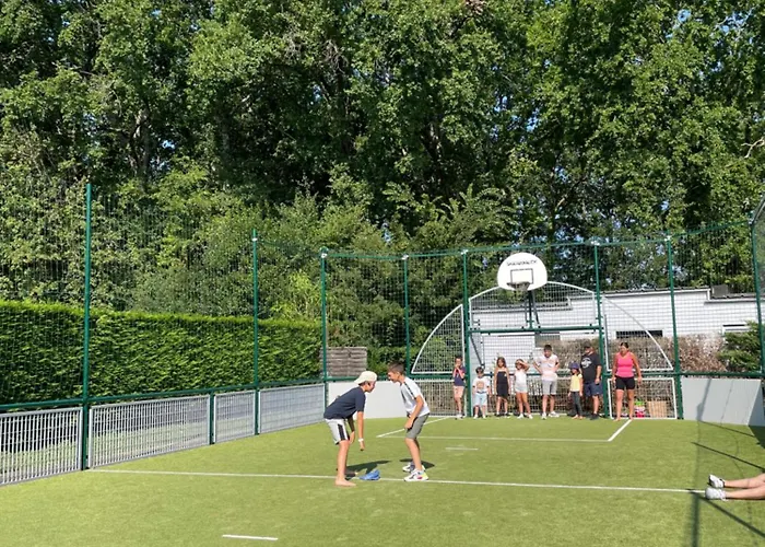 Chant Des Oiseaux *** *