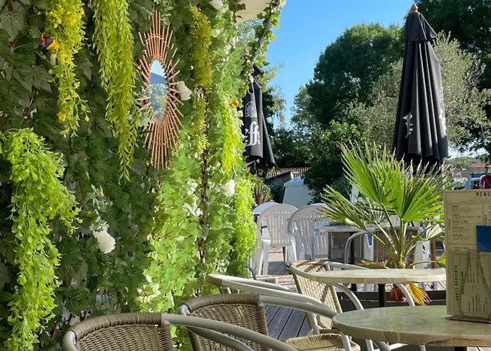 Chant Des Oiseaux *** * Royan