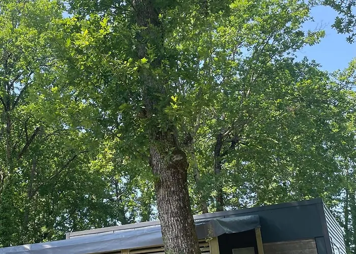 Campsite Chant Des Oiseaux ***